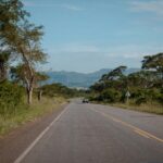 Luxury Uganda Safari: Is It Worth the Price?