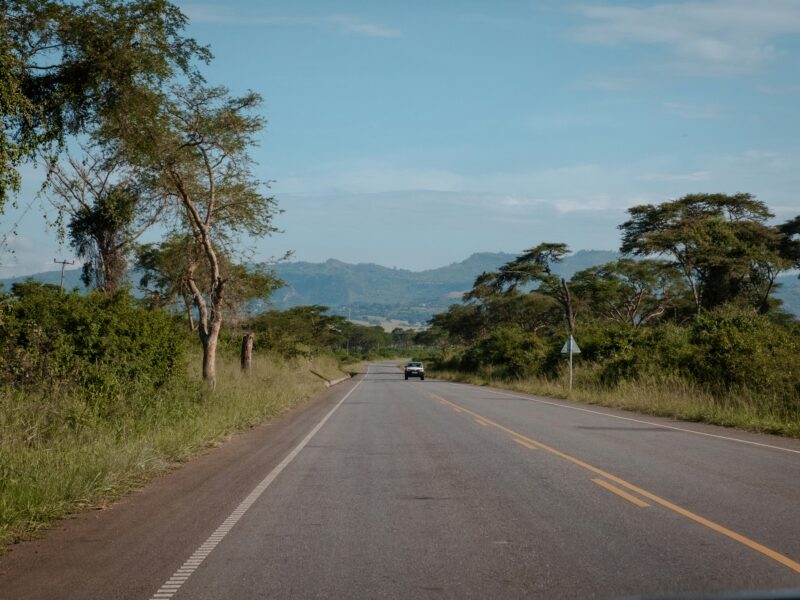 Luxury Uganda Safari: Is It Worth the Price?