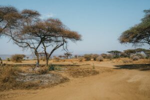 East Africa's Spectacular Landscapes: A Traveller's Guide to the Region's Finest Scenery