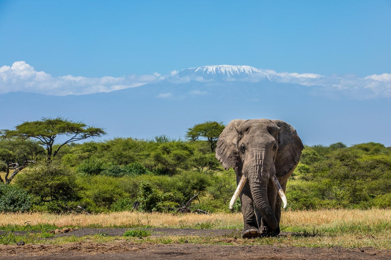 Chyulu Hills
