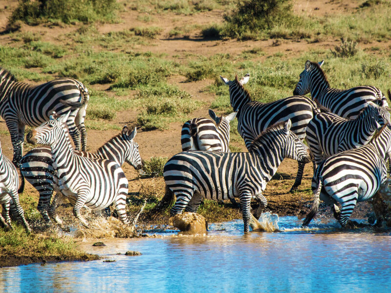 Chyulu Hills