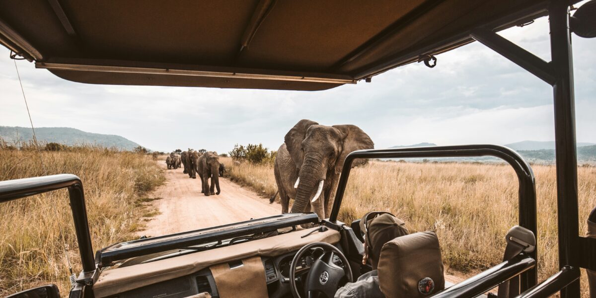 How technology is transforming Safari experiences
