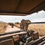 How technology is transforming Safari experiences