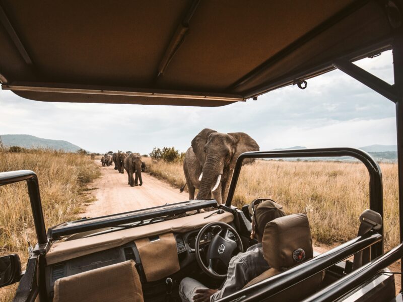 How technology is transforming Safari experiences