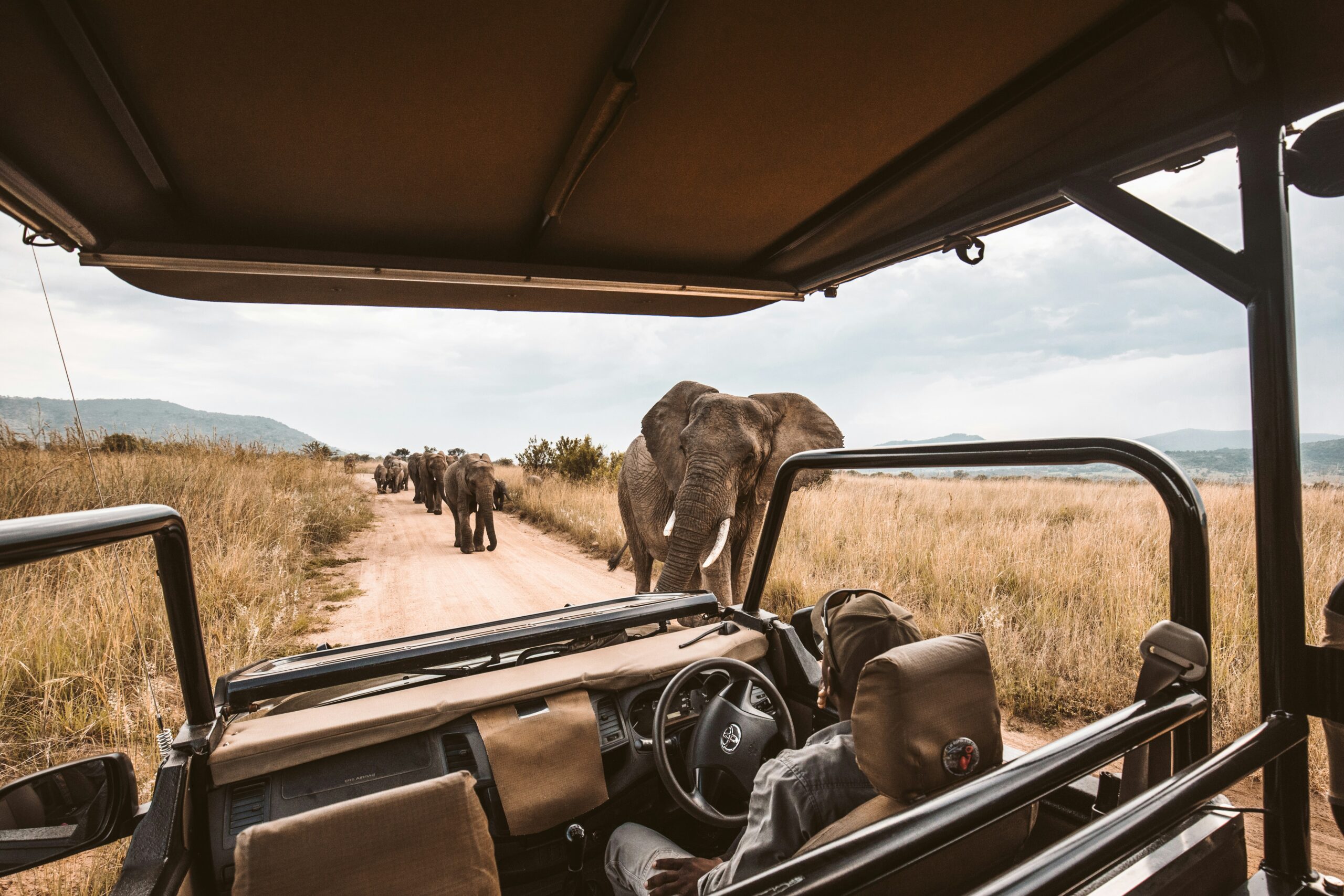 How technology is transforming Safari experiences